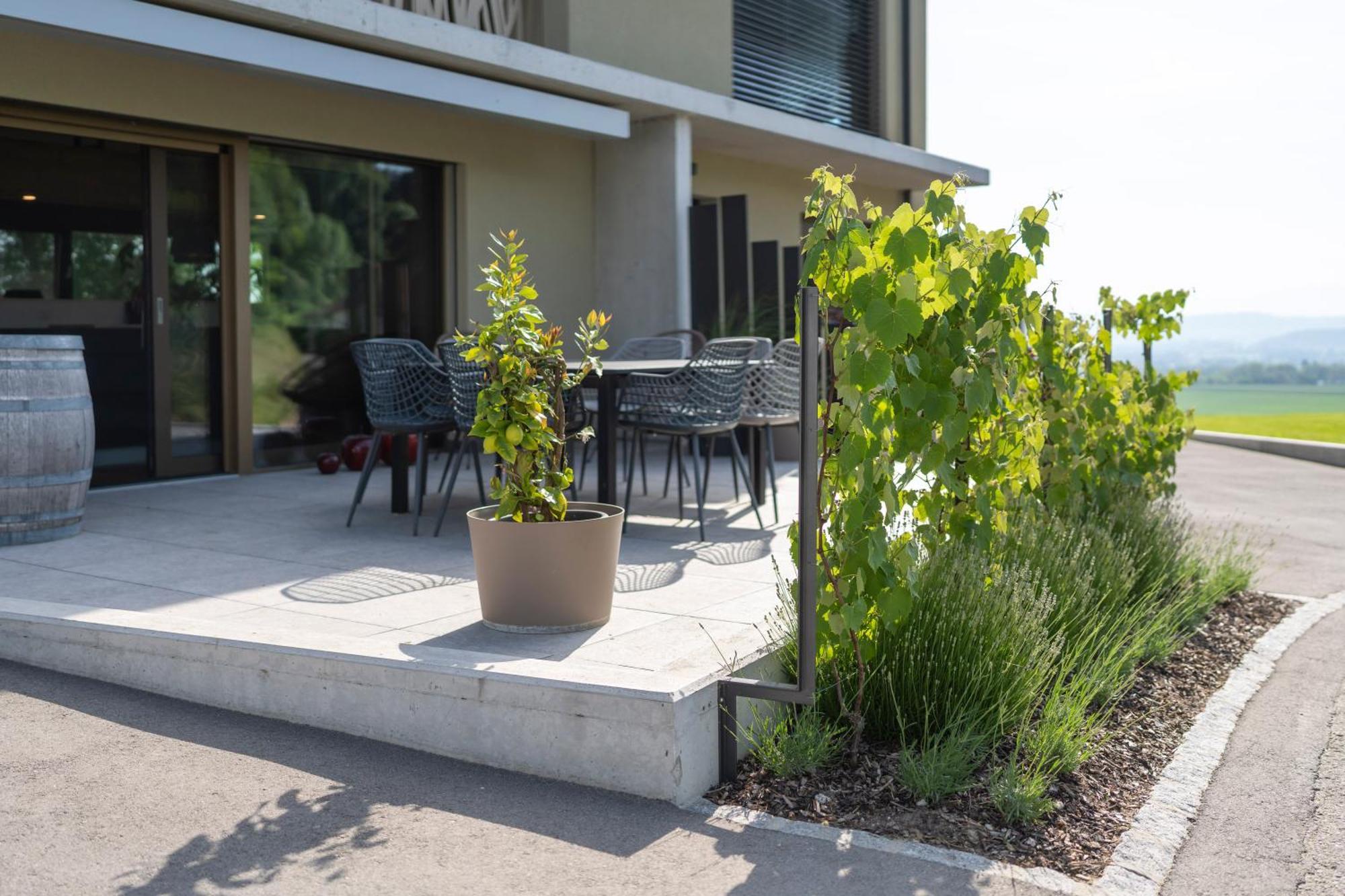 Le Rive Sud Hotel Estavayer-le-lac Eksteriør billede